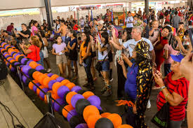 Tardezinha Inclusiva acontece neste domingo em João Pessoa com shows e feirinha