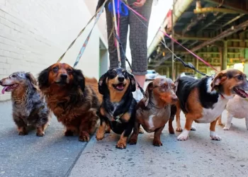 Bicos e Bisnagas: o Brasil que se vira nos 30 para fazer a renda fechar