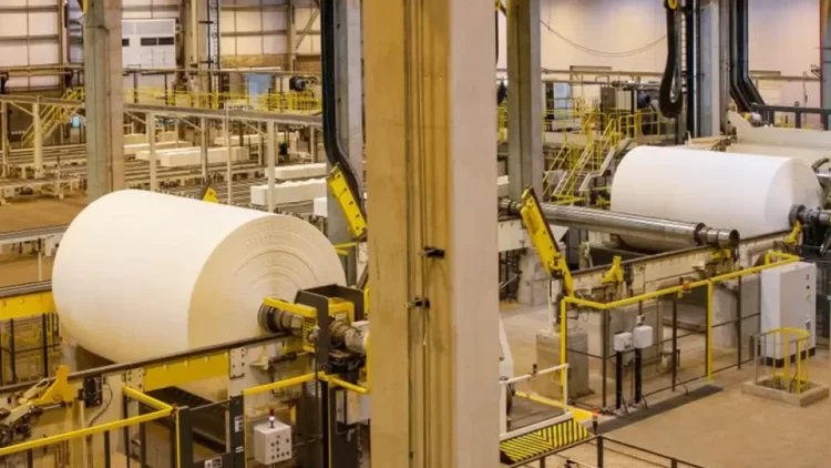 EUA aliviam tarifas sobre celulose e ferro-níquel, mas café e carne seguem em xeque