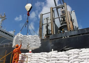 Exportações de açúcar do Brasil colapsam, mas oportunidades emergentes se abrem no comércio global