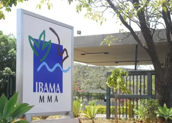 Governo autoriza nomeação de 460 aprovados em concurso do Ibama