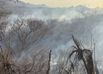 Incêndio florestal no Sertão já dura seis dias e destrói 40% da vegetação em serra