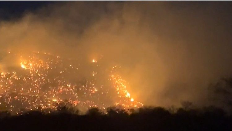 Incêndio que já dura quatro dias atinge área florestal no Sertão da Paraíba