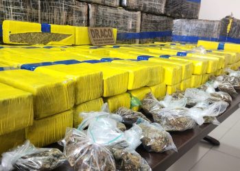 Mais de 1 tonelada de drogas é apreendida em imóvel em João Pessoa