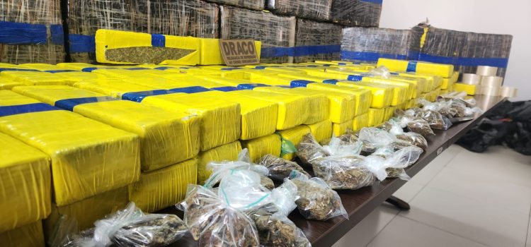 Mais de 1 tonelada de drogas é apreendida em imóvel em João Pessoa
