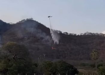 Ministério Público vai investigar autoria de incêndio que destruiu mais de 40% da área de área no Sertão