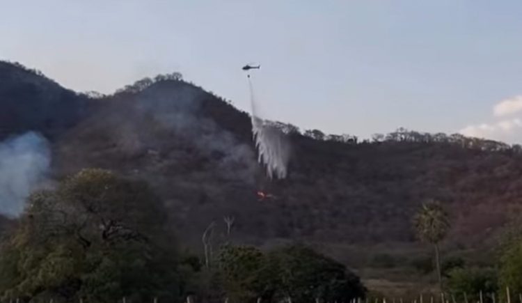 Ministério Público vai investigar autoria de incêndio que destruiu mais de 40% da área de área no Sertão