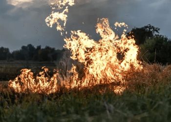 Paraíba entra em alerta com 255 focos de queimadas em 2025, aponta INPE