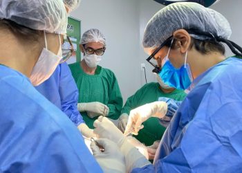 Paraíba registra 10ª doação de coração em 2025