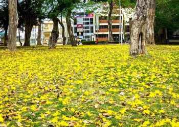 Primavera começa com alerta de baixa Primavera começa com alerta de baixa umidade em 85 cidades da Paraíbaem 85 cidades da Paraíba
