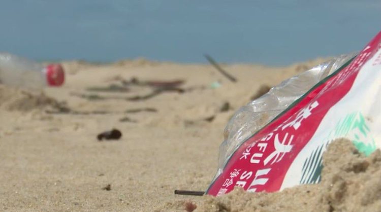 Projeto retira lixo do mar e transforma em produtos sustentáveis, em João Pessoa