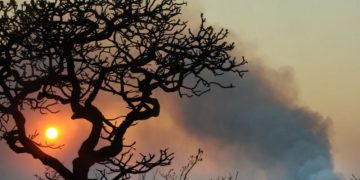 Setenta e um municípios do Sertão estão em alerta de baixa umidade