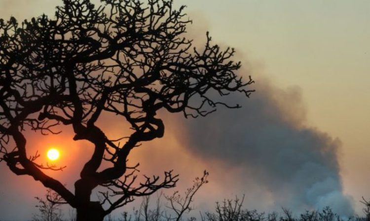 Setenta e um municípios do Sertão estão em alerta de baixa umidade