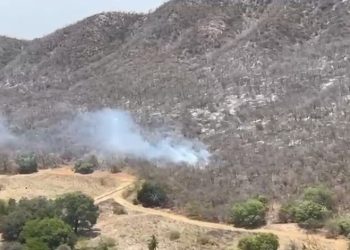 Incêndio na Serra do Cruzeiro é controlado após sete dias no Sertão da Paraíba