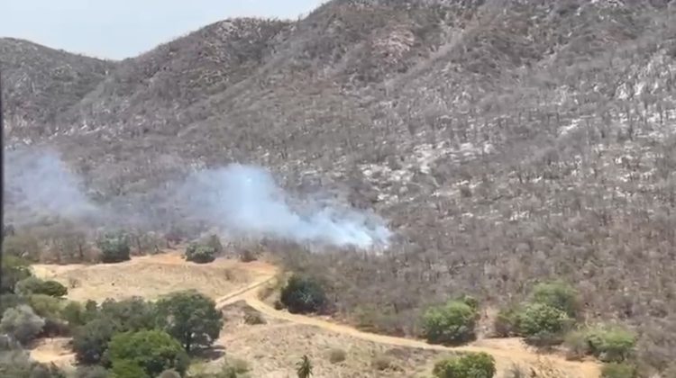 Incêndio na Serra do Cruzeiro é controlado após sete dias no Sertão da Paraíba