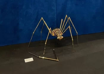 Acidente na Galleria Orler: criança confunde arte contemporânea com papel de rascunho e quebra escultura valiosa